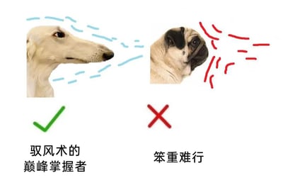 这是一张左右分栏的趣味对比梗图，左侧展示了一只拥有修长尖脸的灵缇犬，其头部周围绘制了浅蓝色的流畅线条，模拟出气流划过的状态，下方配有绿色对勾和文字“驭风术的巅峰掌握者”，以拟人化的夸张方式调侃灵缇犬的流线型外形能极大减少风阻，仿佛完美驾驭风力；右侧则是一只脸部短粗圆润的巴哥犬，头部周围是红色的杂乱线条，下方配有红色叉号和文字“笨重难行”，调侃它的外形风阻大，行动起来仿佛受风力阻碍。图片通过两种狗狗截然不同的面部外形特征，用幽默的拟人化标签制造出强烈的反差感，以此带来搞笑的效果，生动地展现了不同外形在“风阻”上的夸张差异。