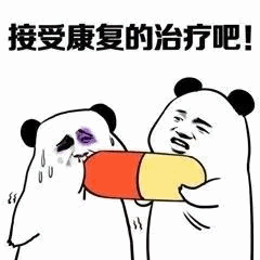 熊猫强制喂药：接受康复治疗吧！