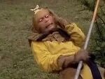 图片中是经典电视剧《西游记》(1986年版)中的主角孙悟空。他身着标志性的黄色战袍和虎皮裙，头戴紧箍咒，正手持金箍棒坐于绿色草地上，面部带着略带思索的放松表情，展现了角色机敏又略带不羁的经典形象。