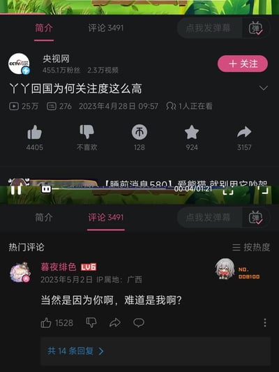 这是哔哩哔哩平台上央视网官方账号发布的《丫丫回国为何关注度这么高》视频的页面截图，分为上下两部分：上半部分展示视频基础信息，包括发布于2023年4月28日，播放量25万，央视网账号拥有455.1万粉丝、2.3万条视频；下半部分是评论区热门评论，用户「暮夜绯色」（IP属地广西）留言「当然是因为你啊，难道是我啊？」，用玩笑式的回答调侃视频标题的问题，这条评论获得1528个赞，评论右侧还有《崩坏：星穹铁道》角色银狼的趣味头像，整体氛围轻松调侃。