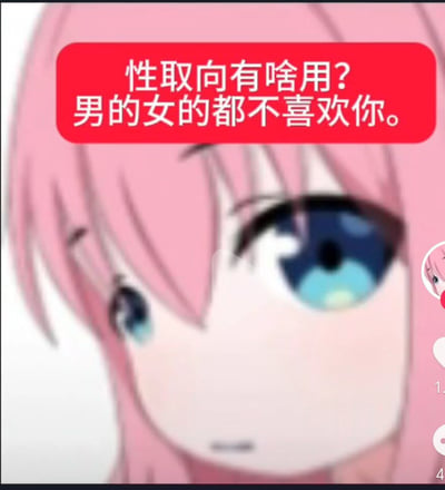 一张动漫风格的梗图，展示了一个粉色头发、蓝色眼睛的动漫女孩面部特写。女孩表情略显中性，额头上方有一个红色矩形文字框，内有白色文字："性取向有啥用？男的女的都不喜欢你。" 图片通过自嘲的方式制造幽默效果，暗示无论性取向如何，都面临着无人喜欢的困境。