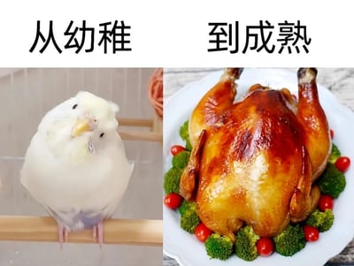 暂无描述