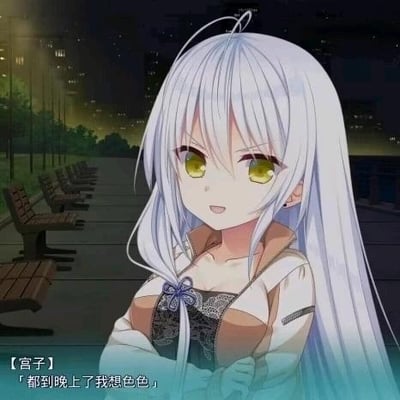 这是一张二次创作的二次元梗图，画面展示了夜晚的户外步道场景，原本是视觉小说《9-nine-》系列里的角色新海天，被标注为“宫子”，她有着银白色长发与黄绿色眼睛，双手放在胸前，表情带着期待感。图中配文“都到晚上了我想色色”，通过给原本清纯的角色配上直白的玩笑台词，制造出反差萌的调侃效果，属于ACG圈子里的趣味玩梗图。