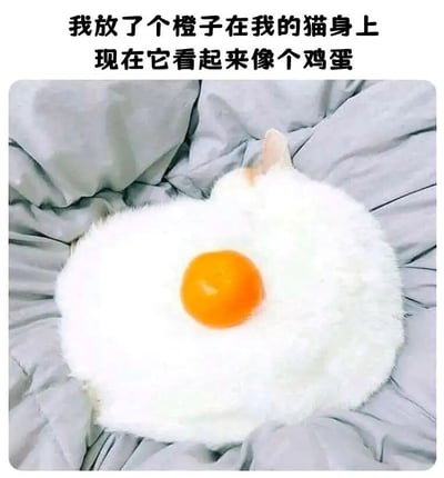 暂无描述