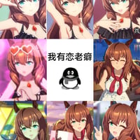 赛马娘Pretty Derby
