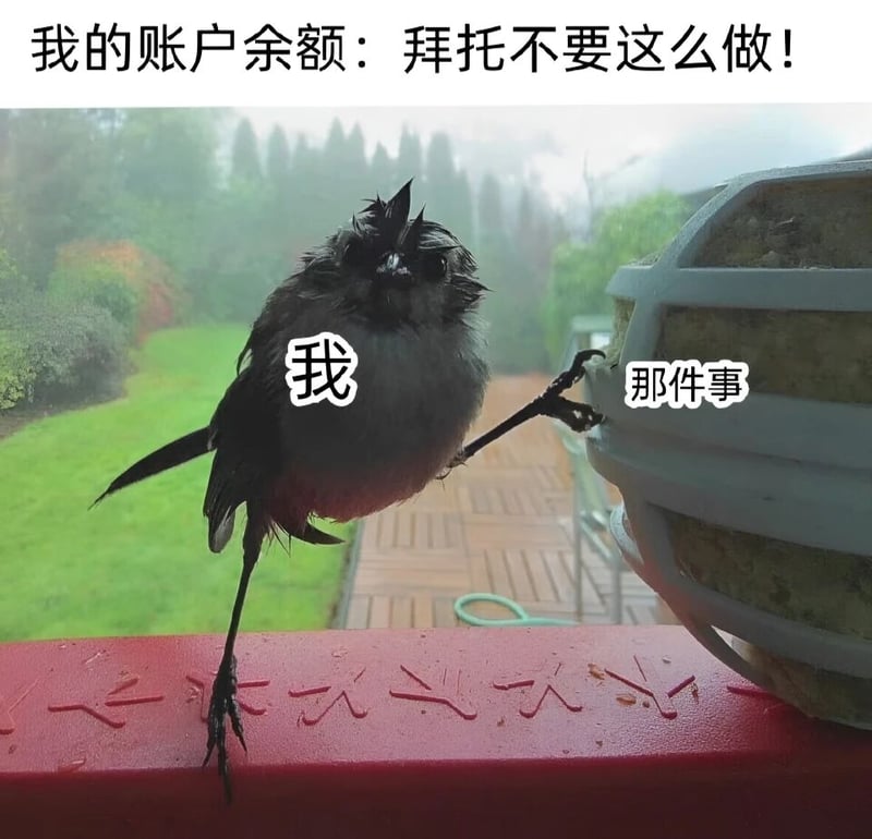 小鸟