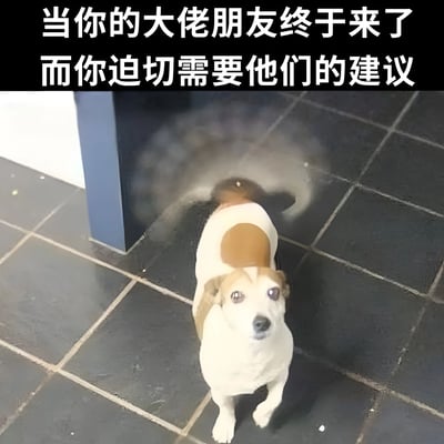 图片上方有白色文字'当你的大佬朋友终于来了 而你迫切需要他们的建议'，下方是一只白色和棕色相间的小狗站在黑色瓷砖地板上，眼睛被编辑成发光效果，周围有类似烟雾的效果，整体营造出一种期待和迫切的搞笑氛围。