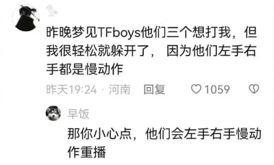 这是一张社交媒体评论区的静态截图，内容是两条围绕TFboys经典歌曲《青春修炼手册》歌词展开的搞笑玩梗对话。第一条评论以梦境为切入点，借用歌曲中“左手右手一个慢动作”的歌词，调侃自己能躲开TFboys的“攻击”是因为他们的动作都是慢动作；第二条评论则顺势接梗，用歌词里的“左手右手慢动作重播”回应，让对方小心，对话充满趣味性，精准贴合原歌曲的经典内容，这条玩梗评论获得了1059个点赞。