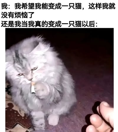 图片上方文字描述了“我”希望变成一只猫来摆脱烦恼的愿望，下方则是“变成猫以后”的场景——一只毛茸茸的灰色猫咪正用爪子夹着香烟，眼神略带疲惫，旁边有一只手伸向它。通过前后对比制造出“即使变成猫也依然有烦恼”的幽默效果，暗讽人们对“无烦恼生活”的理想化想象与现实的反差。
