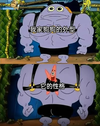 这是一张基于《海绵宝宝》动画截图创作的上下对比梗图，上图呈现出一个肌肉发达、外形极具威慑力的鱼人，搭配文字“我家狗狗的外型”，以此类比自家狗狗看起来强壮凶悍的外在形象；下图将鱼人的上半身替换为开怀大笑的派大星，配文“它的性格”，用派大星憨傻天真的形象来对应狗狗实际软萌、傻乎乎的性格，通过强烈的外表与性格的反差，制造出幽默搞笑的效果，精准戳中宠物主人对自家宠物反差感的共鸣。