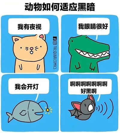 这是一幅四格连环漫画，主题为“动物如何适应黑暗”。左上格是橙色猫咪说“我有夜视”，表情平静；右上格是绿色鳄鱼咧嘴笑称“我眼睛很好”；左下格是灰色安康鱼顶着发光器表示“我会开灯”；右下格是黑色蝙蝠惊恐尖叫“啊啊啊啊啊好黑啊”。通过不同动物的反差反应制造幽默效果，尤其是蝙蝠作为夜行性动物却表现出对黑暗的恐惧，形成搞笑对比。