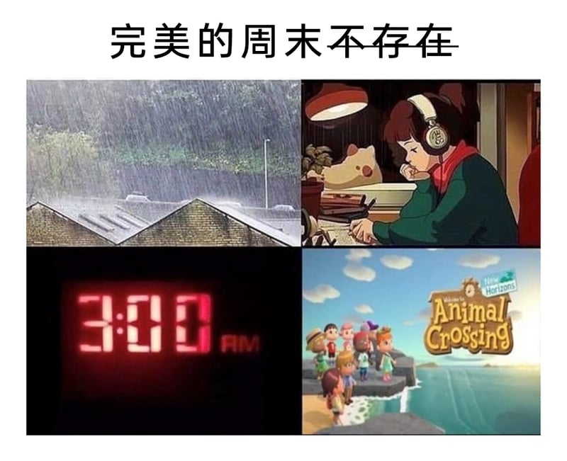 《集合啦！动物森友会》岛务管理者