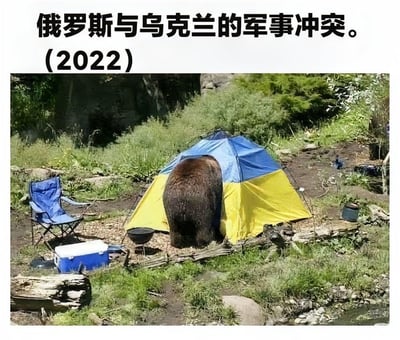 这是一张用来调侃2022年俄乌军事冲突的梗图，画面呈现野外露营场景：一只棕熊的后半部分身体露在蓝黄配色（与乌克兰国旗颜色一致）的帐篷外，帐篷旁摆放着蓝色折叠椅、冷藏箱等露营装备。图片上方配文“俄罗斯与乌克兰的军事冲突。(2022)”，利用棕熊（常作为俄罗斯的象征符号）钻进乌克兰配色帐篷的画面，以幽默的方式暗喻俄乌冲突的局势，属于用动物场景映射国际事件的讽刺类创作。