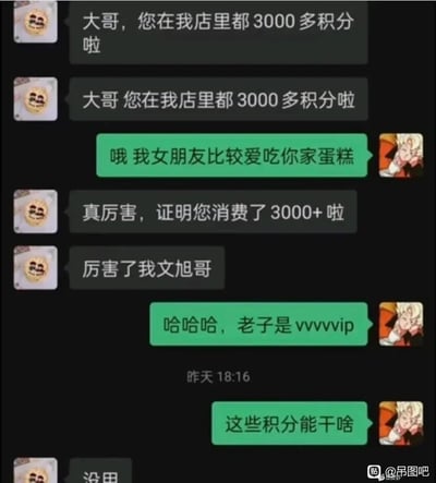 这是一段蛋糕店店员和顾客的聊天记录截图：店员两次重复提醒顾客在店里累积了3000多积分，顾客解释是因为女朋友爱吃店里的蛋糕，随后店员调侃顾客累计消费超3000元，还称呼顾客为文旭哥，顾客得意地自称是vvvvvip，最后满怀期待地询问积分的用处，店员却直接回复“没用”，形成强烈的搞笑反差，让顾客的得意瞬间落空，充满喜剧效果。