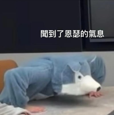 图片中一个人穿着狗头服装，手脚着地趴在桌子上模拟狗的姿势。画面显得非常搞笑，配文“聞到了恩羲的氣息”形容听到某人（恩羲）的消息后，激动得像狗一样立刻伸头凑过来看发生了什么。整个画面极具网络幽默，非常适合形容粉丝、追星、八卦心情爆棚的场合。这里“狗化”指的是自嘲式表述，网络语言常见。

“恩羲”有可能指网络人物、主播或虚拟偶像，也可能仅为网友冠以的昵称，存在梗圈传播。

本梗图无明显双关、谐音梗，但“狗化”+“闻气息”形成了幽默画面反差。未见暗示。