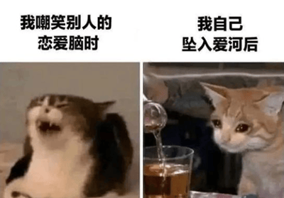 这是一张左右对比的双图梗图。左侧图片中，一只猫张大嘴巴，表情夸张，似乎在大笑，上方配有文字“我嘲笑别人的恋爱脑时”；右侧图片中，另一只猫眼神温柔地注视着有人将液体倒入玻璃杯中，上方文字为“我自己坠入爱河后”。图片通过两只猫截然不同的表情和状态，幽默地展现了人们在嘲笑他人为爱痴迷（恋爱脑）时的得意，与自己陷入爱情后态度转变的反差，充满自嘲和搞笑意味。