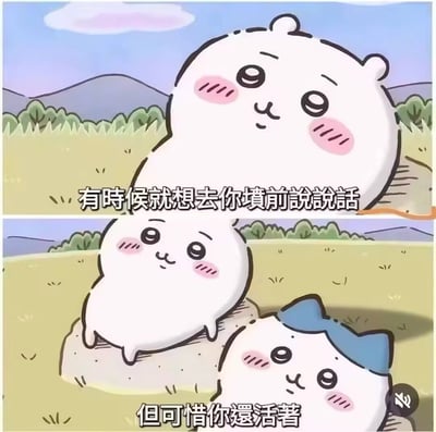 这是一张两格漫画风格的梗图，展示了两个可爱的白色卡通角色。上格中一个角色站在草地上说：'有时候就想去你坟前说说话'，下格中另一个戴着蓝色蝴蝶结的角色出现在坟墓旁，第一个角色继续说：'但可惜你还活著'。图片使用了可爱的画风与黑暗幽默的台词形成反差，创造出喜剧效果。