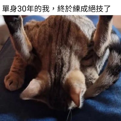 图片上方配有文字“單身30年的我，終於練成絕技了”，下方是一只耳廓狐仰卧在床上，四肢朝天，耳朵自然垂下的照片。图片通过将动物的自然姿势幽默地解读为“绝技”，与“单身30年”的文字形成搞笑对比，暗示单身人士可能会发展出一些特殊习惯或技能。
