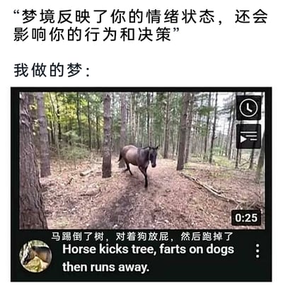 这是一张图文结合的搞笑梗图，上方以严肃的文字提出“梦境反映了你的情绪状态，还会影响你的行为和决策”，构建出梦境具有深层意义的认知；下方则以类似户外视频录制的截图形式，展示“我做的梦”：画面是树林中的一匹马，配文用中英文对照的方式描述了这个梦境的内容——“马踢倒了树，对着狗放屁，然后跑掉了”。通过将严肃的梦境理论与完全无逻辑、荒诞无厘头的梦境内容形成强烈反差，调侃了现实中很多人的梦境其实是混乱、毫无意义的，以此制造搞笑效果，引发网友对自身荒诞梦境的共鸣。