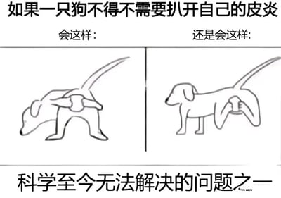 这是一张无厘头风格的搞笑静态梗图，采用左右对比的图文混排形式，以手绘线稿呈现内容。图中上方文字提出一个荒诞的假设：“如果一只狗不得不需要扒开自己的皮炎”，并给出两种不符合狗狗生理结构的姿势选项：左侧是狗狗前伏身体，用后腿从身体后方抬起扒挠臀部；右侧是狗狗保持站立姿态，用后腿从身体侧面抬起扒挠臀部。图下方配文“科学至今无法解决的问题之一”，用一本正经的学术式语气包装这个完全没有现实依据的脑洞问题，通过反差感制造出滑稽搞笑的效果，属于网友创作的趣味脑洞内容，用来博人一笑。