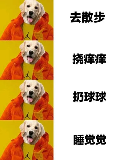 一张四格图文拼接图，左侧是四张相同的金毛犬图片，狗狗戴着橙色外套，内穿黄色乔丹T恤，吐着舌头，右手竖起大拇指。右侧对应四行文字，分别是“去散步”、“挠痒痒”、“扔球球”和“睡觉觉”，展现了狗狗的日常活动。