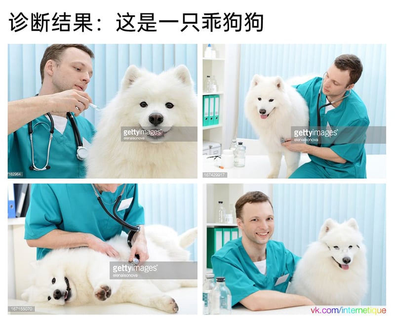 宠物医生