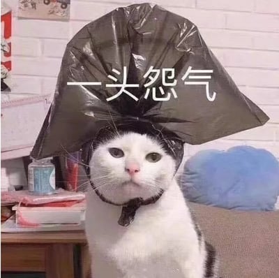 一只白猫头上套着一个黑色塑料袋，袋子蓬松鼓起，遮住了猫咪的整个头部。猫咪露出两只眼睛和鼻子，表情看起来有些无奈和困惑。图片上方有白色文字“一头怨气”，形成了文字与图像的幽默结合。

这张图片使用了双关语的修辞手法，“一头怨气”既指猫咪头上确实套着东西（塑料袋），又表达了“充满怨恨的情绪”，通过视觉与文字的结合产生喜剧效果。