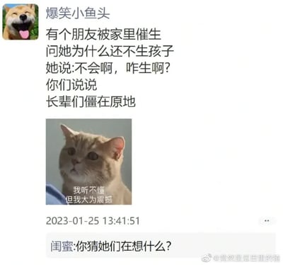 这是一张社交媒体截图，顶部显示用户头像为一只张嘴吐舌的柴犬，用户名为“爆笑小鱼头”。内容讲述了一个朋友被家里催生时，天真反问“不会啊，咋生啊？”导致长辈们僵在原地的搞笑故事。下方配有一张橘猫仰头注视的图片，猫图上叠加文字“我听不懂 但我大为震撼”。截图底部有发布时间“2023-01-25 13:41:51”以及闺蜜的评论“你猜她们在想什么？”，右下角有水印“@竟然是瓜田里的渣”。