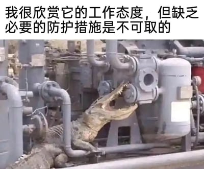 这是一张经过文字加注的实拍静态图，画面主体是一只鳄鱼，它张着嘴将头部卡在一套工业机器的管道与金属部件之间，姿态看起来仿佛在“专注上岗检修”机器。图片上方配有一句职场风格的调侃文字：“我很欣赏它的工作态度，但缺乏必要的防护措施是不可取的”，将鳄鱼的行为拟人化，用职场安全规范的视角去调侃这一荒诞场景，制造出反差感十足的搞笑效果，既凸显了场景的离奇，又用幽默的方式映射职场中可能存在的安全防护不到位的问题。