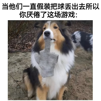 图片上方有黑色文字：'当他们一直假装把球丢出去所以你厌倦了这场游戏：'，下方是一只柯利犬（毛色棕白黑相间）坐在户外泥土地上，背景有枯叶和灌木。狗狗嘴里叼着一个灰色石头材质的手形雕塑，雕塑做出中指手势，表情看起来有些无奈和厌倦，仿佛在表达对反复假装扔球行为的不满。整体通过动物拟人化的方式制造幽默效果，展现宠物对主人戏弄行为的'抗议'。