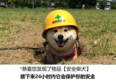 图片中是一只戴着黄色安全帽的柴犬，安全帽上有绿色十字标志和“柴犬保存会”字样。柴犬从土坑中探出头，表情开心，嘴巴张开露出舌头。图片下方配有文字：“恭喜您发现了物品【安全柴犬】接下来24小时内它会保护你的安全”，整体营造出一种可爱又幽默的氛围，将柴犬拟人化为能提供安全保护的“道具”。