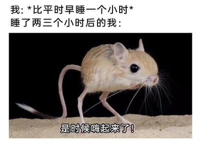 暂无描述