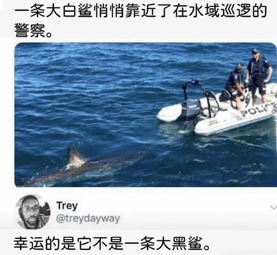 图片展示了两名警察在蓝色海洋中的白色巡逻艇上执行任务，艇身印有“POLICE”字样。巡逻艇附近的海面上露出一个明显的鲨鱼鳍，暗示有大型鲨鱼靠近。图片上方配有文字“一条大白鲨悄悄靠近了在水域巡逻的警察。”，下方则有“幸运的是它不是一条大黑鲨。”的调侃文字，通过“大白鲨”与“大黑鲨”的对比制造幽默效果。