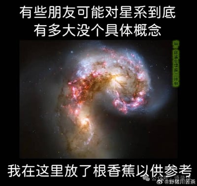这是一张搞笑科普类梗图，顶部配有文字“有些朋友可能对星系到底有多大没个具体概念”，中间是哈勃望远镜拍摄的触须星系（NGC 4038/4039）的天文图像，呈现出两个正在碰撞融合的螺旋星系，画面中有绚烂的星团与星际尘埃；底部配文“我在这里放了根香蕉以供参考”。这是通过荒诞反差制造笑点，调侃星系的尺度大到完全无法用日常物品来参照，没有双关、谐音梗等内容，核心是利用反差感带来的幽默效果。