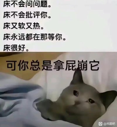 这是一张反差感拉满的搞笑沙雕梗图，上方用温情的文字罗列床的诸多优点：不会问问题、不会批评人、又软又热、永远在原地等待，夸赞“床很好”，随后话锋一转，用醒目的大字体抛出沙雕反转：“可你总是拿屁崩它”，下方搭配一只躺在床上、眼神幽怨委屈的猫咪，用生活化的沙雕细节制造出强烈的搞笑效果，戳中网友的笑点。