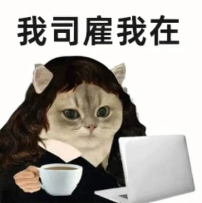 图片中是一只戴着棕色长发、穿着白色领子衣物的猫，表情严肃，左手端着白色咖啡杯，右手操作着一台银色笔记本电脑。图片顶部有黑色加粗文字“我司雇我在”，整体通过将猫拟人化并赋予职场元素（电脑、咖啡），幽默地表达了“公司雇佣我所以我在岗”的打工状态，带有一丝职场人的无奈与自嘲。