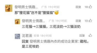这是一张国内社交平台的评论区截图，展示了三位用户的趣味玩梗互动。昵称显示为“發明男士情趣...”的广东用户先后发布两条评论，以猫咪名称为基础玩谐音梗，将“狸花猫”改写为“狸猫猫”，“三花猫”改写为“三猫猫”，还延伸到网络热词“三花淡奶”，将其改为“三猫淡奶”，用叠词替换原词制造可爱的调侃效果；随后安徽用户沈君渝回复该用户，纠正称“戳啦，是三花啖奶”，延续了玩梗的轻松氛围，整体是网友围绕宠物和网络热词展开的趣味创作互动。