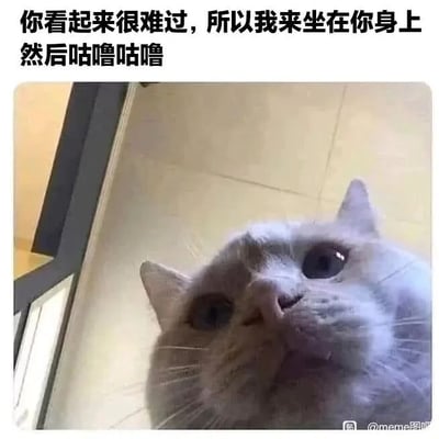 这是一张文字加注的静态单图梗图，画面主体是一只浅灰色的英国短毛猫，它仰着头，眼睛看起来湿润，神情委屈又软萌，仿佛在共情观看者的情绪。图的上方配有以猫咪视角说出的文字：“你看起来很难过，所以我来坐在你身上然后咕噜咕噜”，用猫咪特有的安慰方式——坐在人身上发出咕噜声，传递出软萌治愈的情绪，能够温暖难过的人，很受宠物爱好者的喜爱。