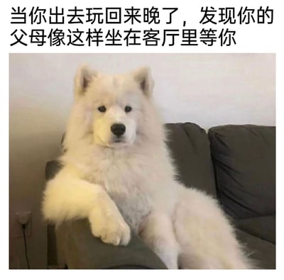 这是一张充满趣味的家庭日常梗图，上方配有文字“当你出去玩回来晚了，发现你的父母像这样坐在客厅里等你”。图中的萨摩耶犬做出拟人化的坐姿，慵懒地瘫在深灰色沙发上，一只前爪搭在扶手上，表情严肃，眼神直视镜头，完美复刻了晚归时父母坐在客厅等待自己的严肃神态与压迫感，用宠物的形象调侃了这种让人心生紧张的家庭场景，生动又搞笑，能引发很多有过类似经历的人的共鸣。