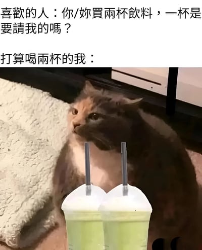 图片上方为两行文字对话，第一行是“喜欢的人：你/妳买两杯饮料，一杯是要请我的吗？”，第二行是“打算喝两杯的我：”。下方是一张照片，一只三花猫趴在浅色地毯上，表情略带尴尬和疑惑，身旁放着两杯带有黑色吸管的绿色饮料，形象地表现了“买两杯饮料其实是自己想喝，却被喜欢的人误会成要请客”的搞笑日常场景。