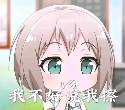 图片中是一位动漫风格的女孩，有着浅色短发和绿色大眼睛，她正用手捂着嘴，表情看起来有些惊讶和犹豫。图片底部有白色文字“我不好说我擦”，整体营造出一种欲言又止、略带无奈的氛围，常被用作表达犹豫或不知如何回应的表情包。