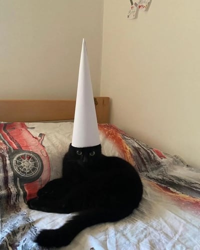 一只表情严肃的黑猫正坐在床上，头上戴着一个异常高耸的白色锥形尖帽，几乎要碰到天花板。猫咪眼神锐利地直视镜头，与滑稽的帽子形成有趣反差。背景是带有红色汽车图案的床单和木质床头板，墙上还贴着几张小纸片，整体场景像是普通家庭卧室。