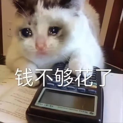图片中是一只灰白相间的猫咪，它有着一双又大又圆的眼睛，眼神中带着明显的忧愁。猫咪的前爪搭在一个黑色的计算器上，计算器放置在一些纸张上。图片中央叠加了白色文字“钱不够花了”，将猫咪拟人化，仿佛它正在对着计算器计算开销，因资金不足而发愁，整体营造出一种可爱又略带无奈的搞笑氛围。
