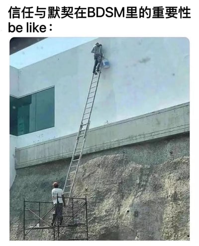 图片上方配有文字'信任与默契在BDSM里的重要性 be like：'，下方是一张施工现场照片：一名工人站在高高的梯子顶端，手持油漆桶正在粉刷墙面，另一名工人站在梯子底部扶着梯子。meme通过这种危险场景中工人之间的信任关系，幽默类比BDSM中信任与默契的重要性——顶端的人完全依赖底部的人保持梯子稳定，如同BDSM中双方需要高度的信任与配合。