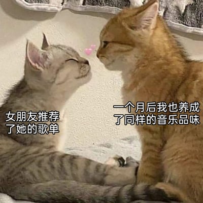 这是一张主打情侣甜蜜日常的网络梗图，以两只近距离亲昵互动的猫咪照片为基底，左侧配文“女朋友推荐了她的歌单”，右侧配文“一个月后我也养成了同样的音乐品味”，生动描绘出情侣在相处过程中，会潜移默化地被对方的喜好影响，逐渐形成相同兴趣爱好的温馨细节，画面氛围甜蜜治愈，文字内容贴近恋爱中的真实经历，容易引发情侣群体的情感共鸣。