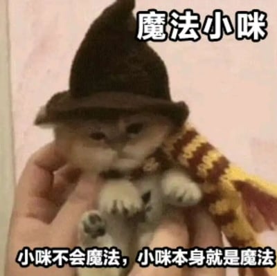 一只戴着黑色巫师帽和红黄条纹围巾的小奶猫被人用双手托举着，背景为浅色墙面。图片上方有文字“魔法小咪”，下方文字写着“小咪不会魔法，小咪本身就是魔法”，整体营造出可爱治愈的氛围，通过拟人化的装扮和文字强调猫咪自身的魅力如同魔法一般。
