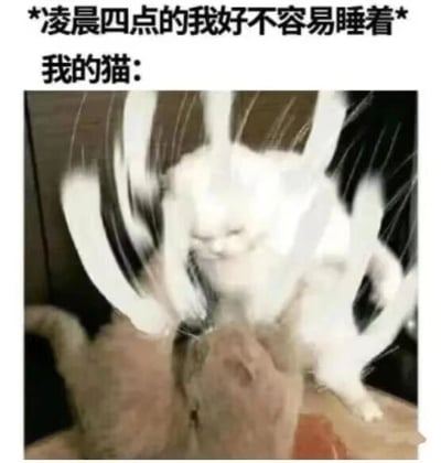 这是一张文字加注类静态图，上方用文字描述了铲屎官的状态：“*凌晨四点的我好不容易睡着* 我的猫:”，引出下方的画面。画面中一只白色猫咪被添加了动态感的白色线条，呈现出疯狂挥爪、兴奋闹腾的状态，它面前还有一只灰色猫咪，整体场景生动还原了很多养猫人都会经历的无奈时刻——主人在深夜好不容易入睡，精力旺盛的猫咪却开始活跃起来，用强烈的反差感制造出搞笑效果，精准戳中了铲屎官们的共鸣，是对猫咪昼夜颠倒、精力旺盛特点的趣味调侃。