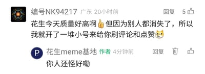 这是一张社交媒体评论区的截图，展示了用户与内容创作者之间的趣味互动。来自广东的用户“编号NK94217”在20小时前给创作者“花生meme基地”的内容留言，称赞其当日内容质量很高，同时调侃因为其他用户都没有互动，所以自己开了一堆小号来帮忙刷评论和点赞，还搭配了点赞手势和狗头的表情。创作者“花生meme基地”在4分钟前用当下流行的网络热梗“你人还怪好嘞”回复，整个互动充满了轻松搞笑的氛围，是粉丝支持小众创作者的玩梗式表达。