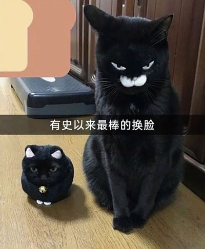 这是一张经过P图改编的趣味静态图片，画面中包含一只真实的黑色猫咪和一个黑色猫咪玩偶，通过换脸的创意手法，将真实猫咪的脸与玩偶的脸进行互换。换脸后的真实猫咪呈现出一种嫌弃、不满的滑稽神态，而黑猫玩偶则带上了原本猫咪沉稳的脸，两者搭配形成强烈的反差感。图片中间的文字“有史以来最棒的换脸”点明了这个创意的核心，整体内容充满搞笑趣味，利用反差效果制造出幽默的视觉体验。