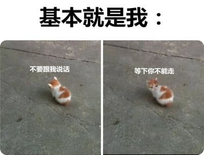 这是一张左右对比的双 panel 梗图，上方配有文字'基本就是我：'。左侧画面中，一只橘白相间的小猫背对着镜头蹲坐在水泥地上，旁边文字为'不要跟我说话'，表现出回避社交的状态；右侧画面中，同一只小猫转过头来望向镜头，旁边文字为'等下你不能走'，呈现出不舍离开的矛盾心理。整体通过小猫的两种反差行为，幽默地描绘了社恐人群既想独处又怕被冷落的真实内心状态。